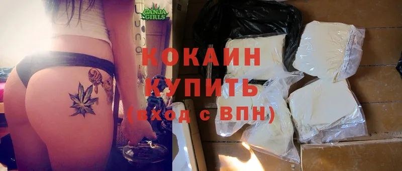 магазин продажи   Ардатов  Cocaine Боливия 